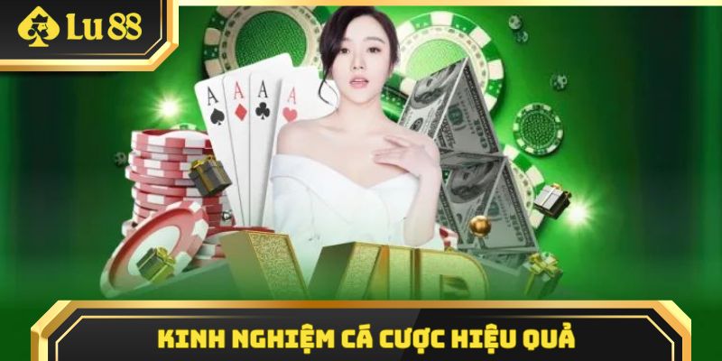 Một số kinh nghiệm cá cược hiệu quả được chia sẻ từ chuyên gia