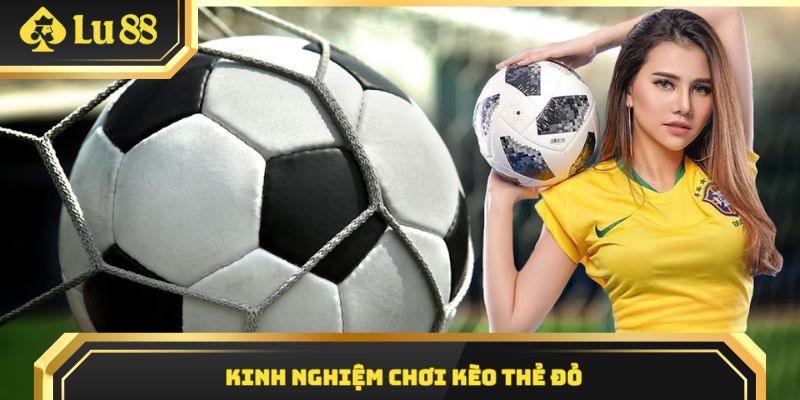 Học chiến thuật từ chuyên gia cá cược